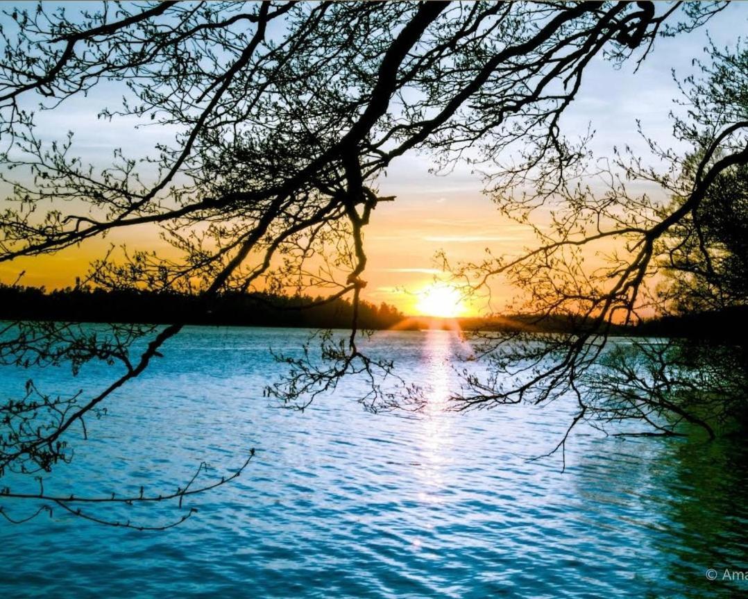 Close To The Metro And The Beach!!! With A View Of The Scandinavian Forest Stockholm Eksteriør bilde