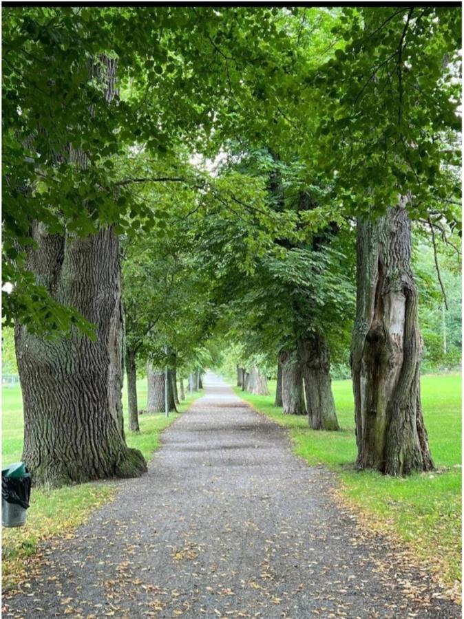 Close To The Metro And The Beach!!! With A View Of The Scandinavian Forest Stockholm Eksteriør bilde