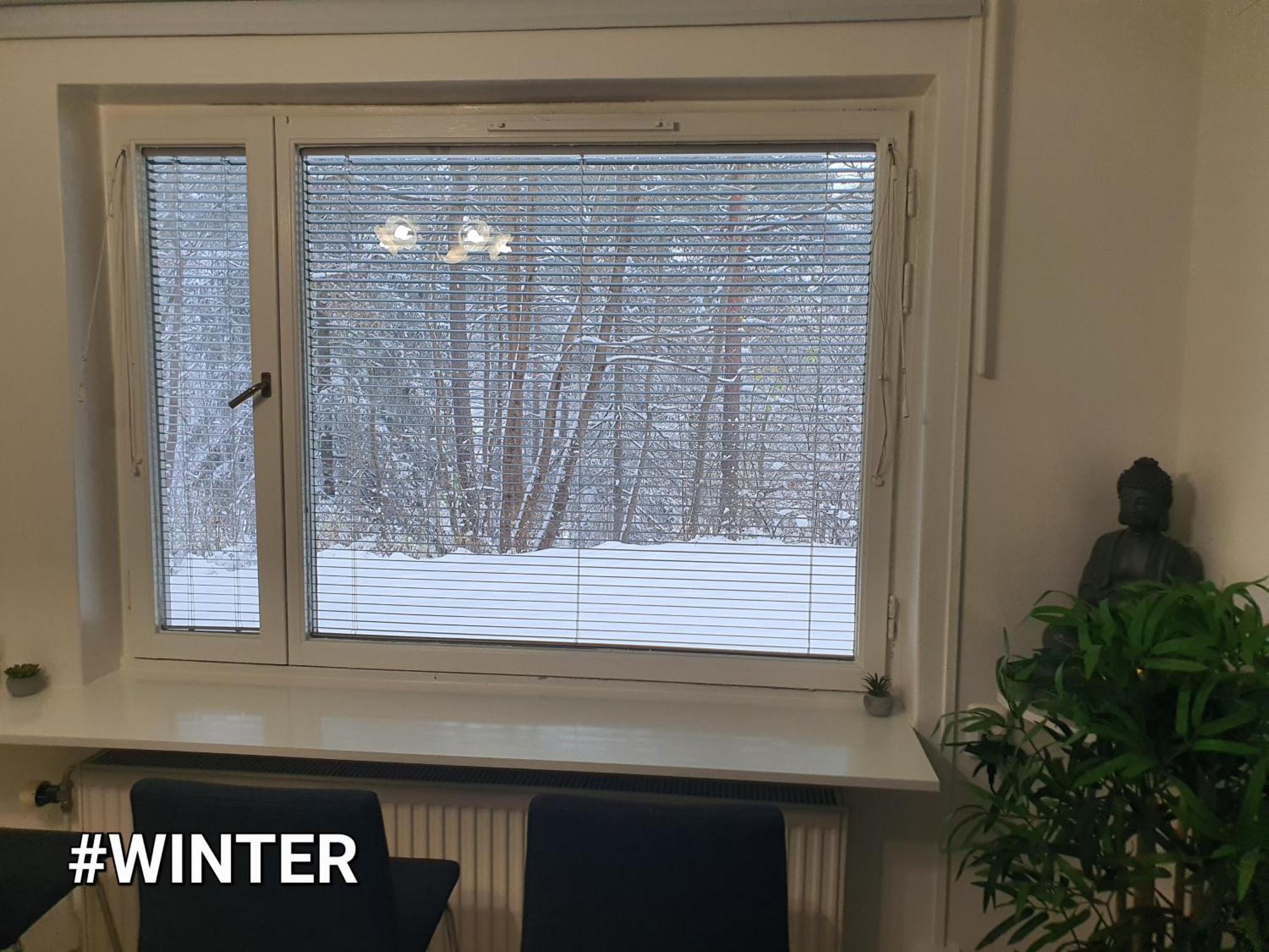 Close To The Metro And The Beach!!! With A View Of The Scandinavian Forest Stockholm Eksteriør bilde